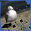 djdodo_de