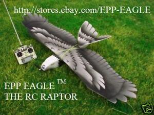 Epp Eagle