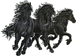 horses_r_us