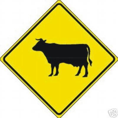 REAL CATTLE/COW CROSSING STREET TRAFFIC SIGN  