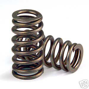 4.6 Ford valve springs #2