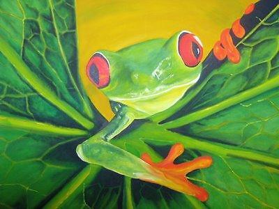 Red Eyed Tree Frog 3 Cross Stitch Pattern Amphibians  